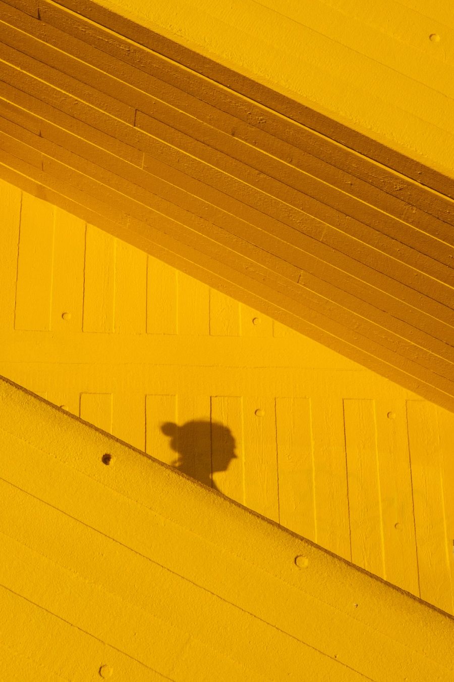 oliver-cole-uyabV6rpSY4-unsplash