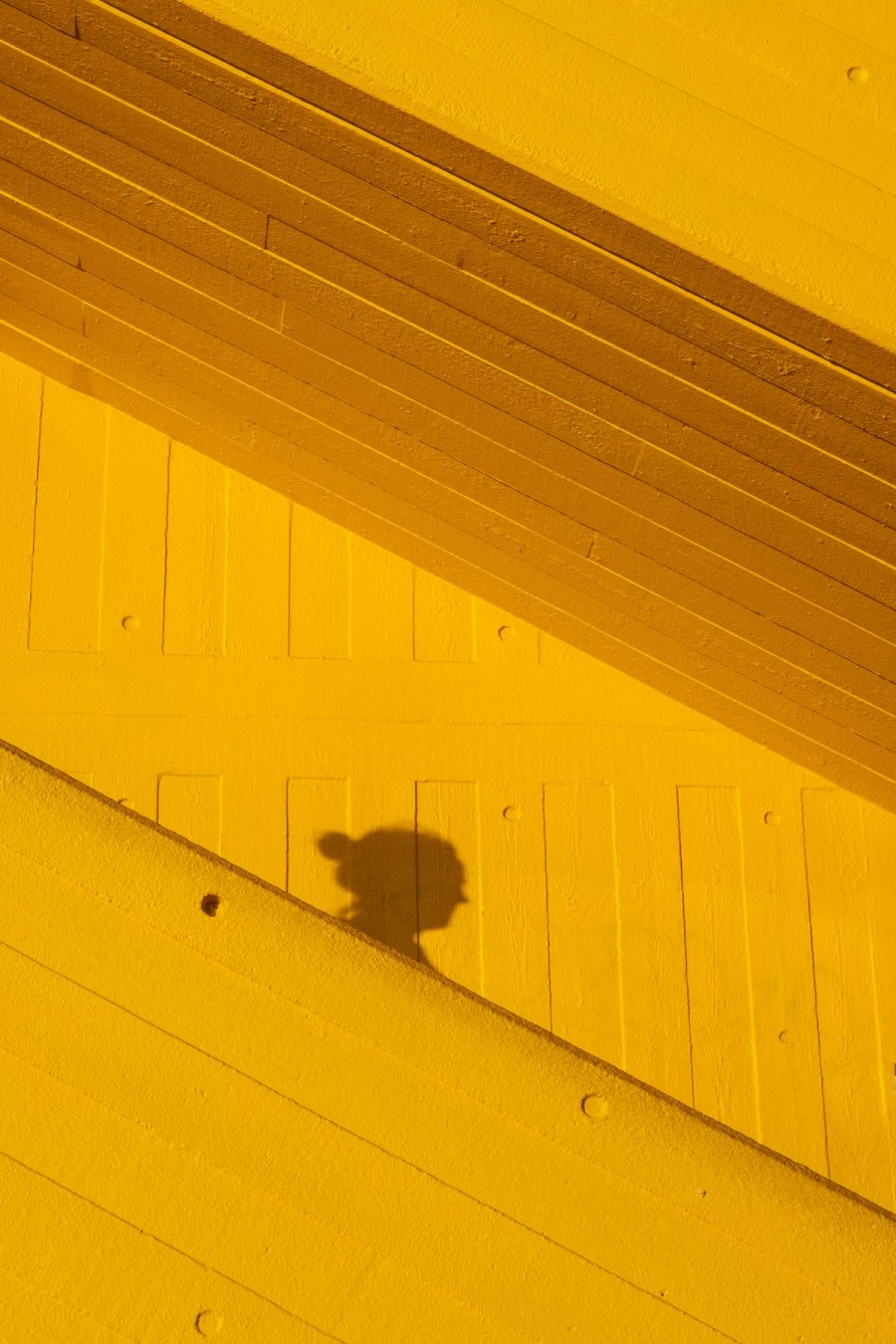 oliver-cole-uyabV6rpSY4-unsplash