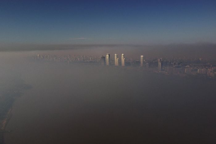 'Ecocide by Sebastián López Brach (Rosario, Argentina)