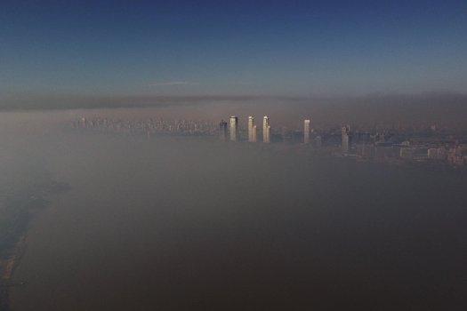 'Ecocide by Sebastián López Brach (Rosario, Argentina)