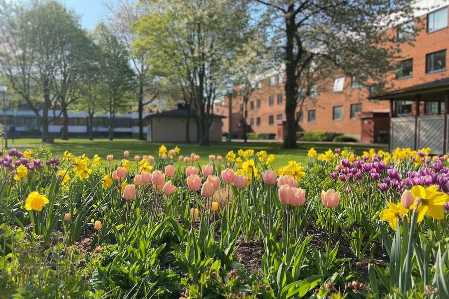 MicrosoftTeams-image (4) (1)