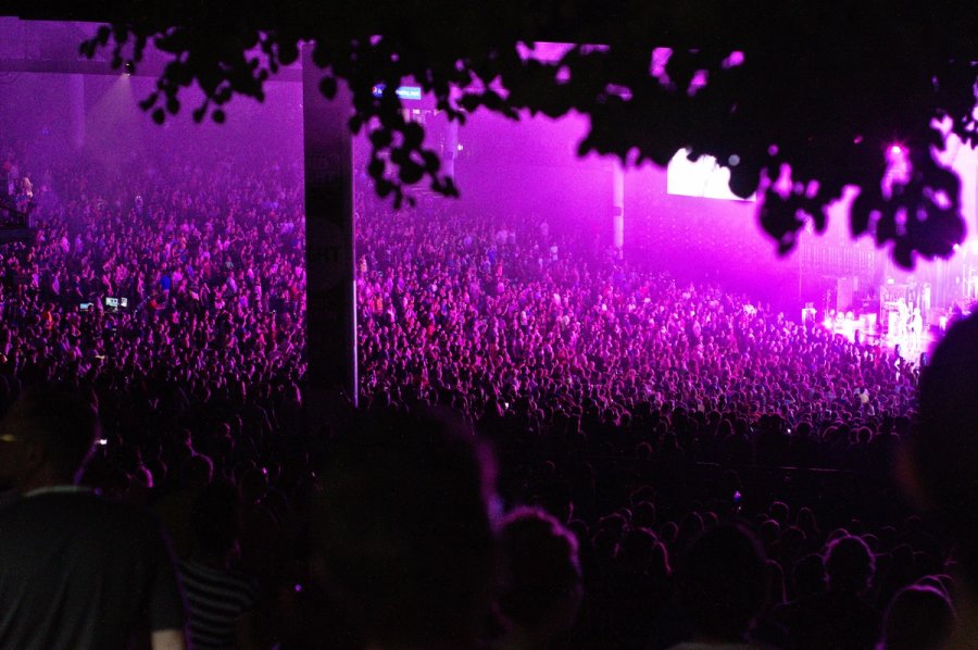 jessica-freer-9cQ9ol5KIUI-unsplash