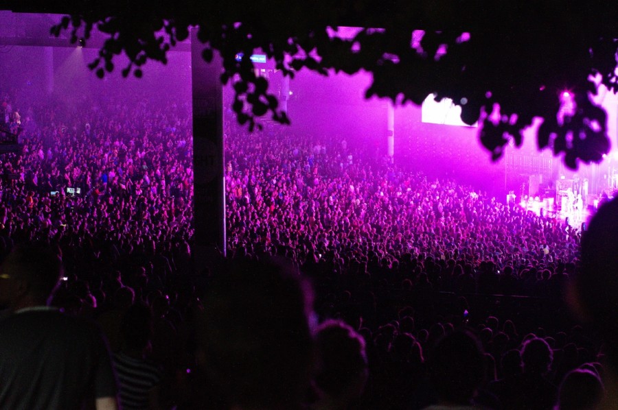 jessica-freer-9cQ9ol5KIUI-unsplash