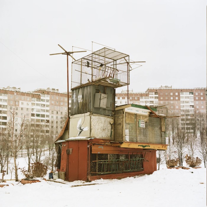 ‘Dovecote‘ by Dasha Sapranetskaya (Minsk, Belarus)