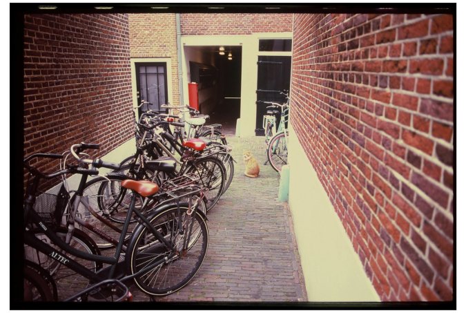 lawrence-krowdeed-lLedQGvAE5Q-unsplash