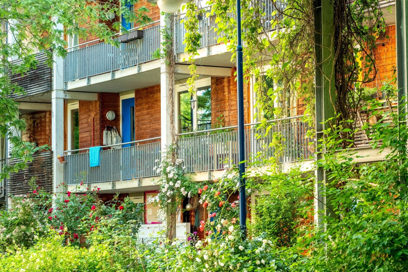 shutterstock_2323998075