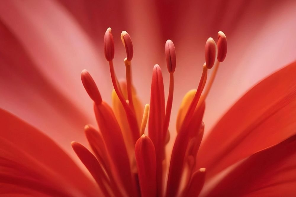 From Thermal Gaps to Biomimicry: The New Vocabulary of Urban Climate Action