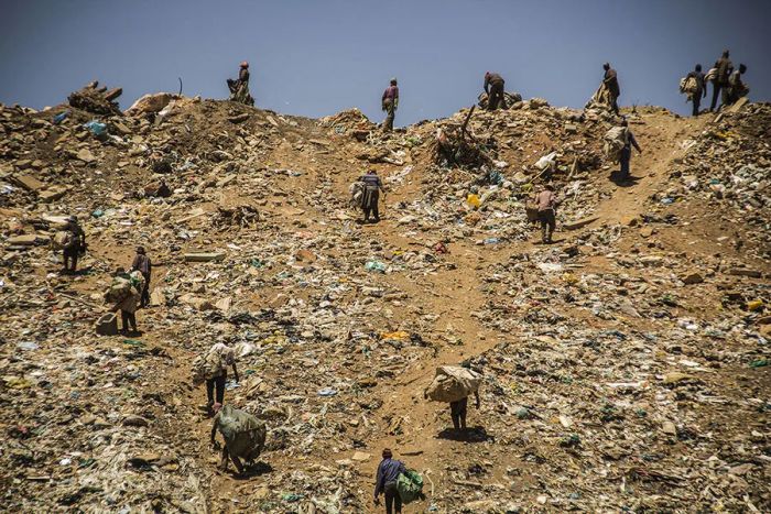 'E’Plazini: The Home for Waste Collectors' by Mpumelelo Buthelezi (Soweto, South Africa)