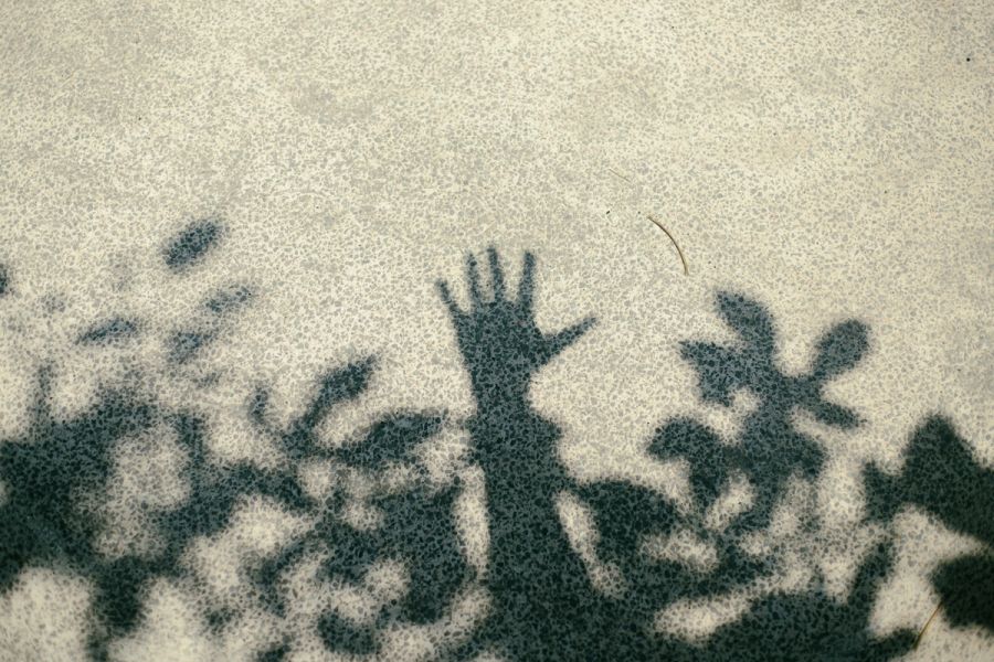 ramses-cervantes-GdOE0axFis4-unsplash