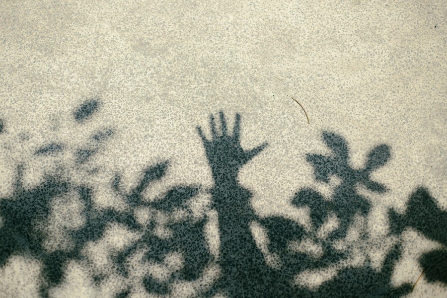 ramses-cervantes-GdOE0axFis4-unsplash