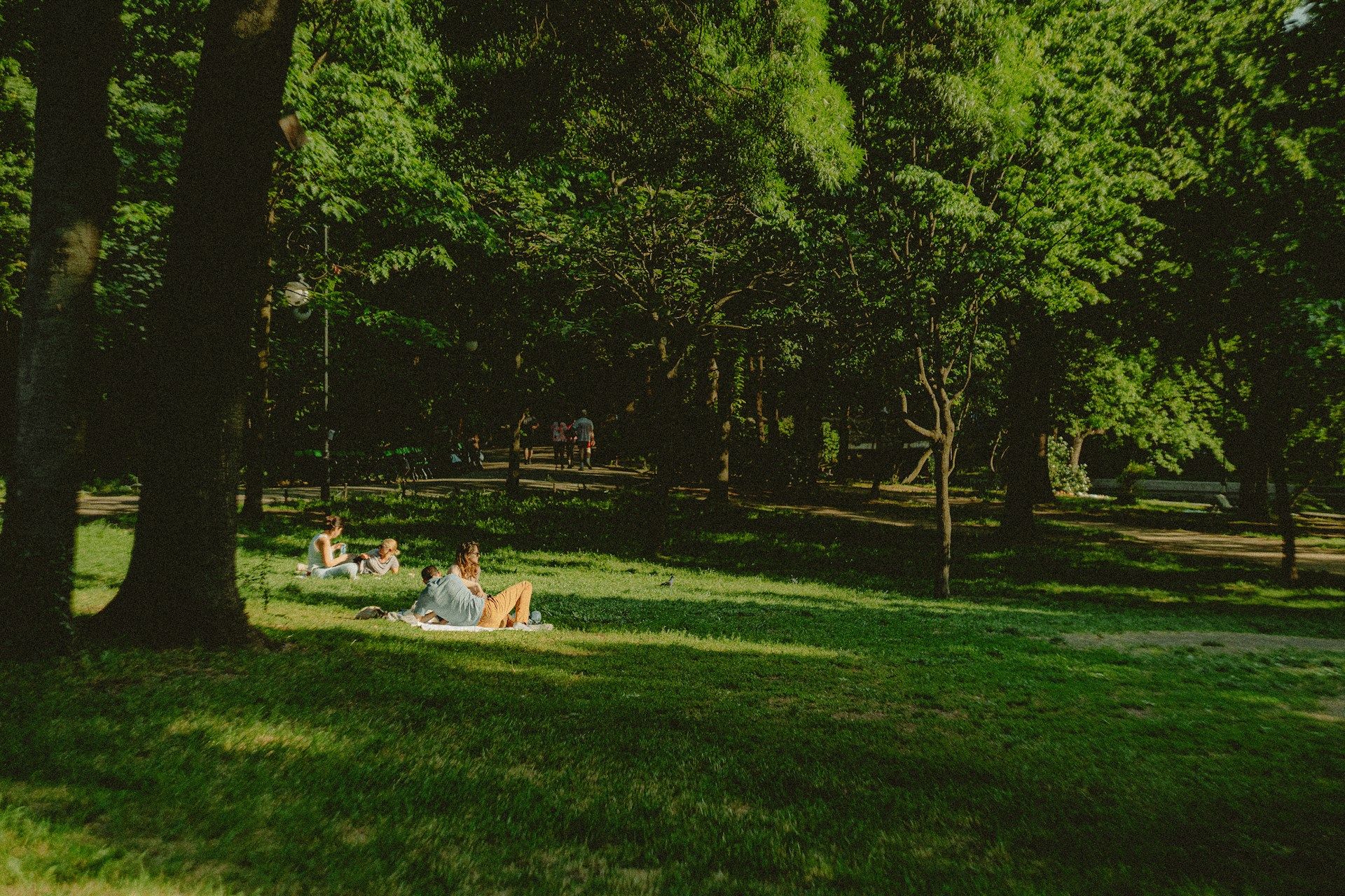 demeter-alexandru-Q0TioZ1Anxo-unsplash (1)