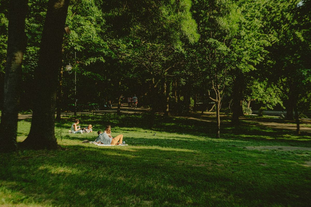 demeter-alexandru-Q0TioZ1Anxo-unsplash (1)