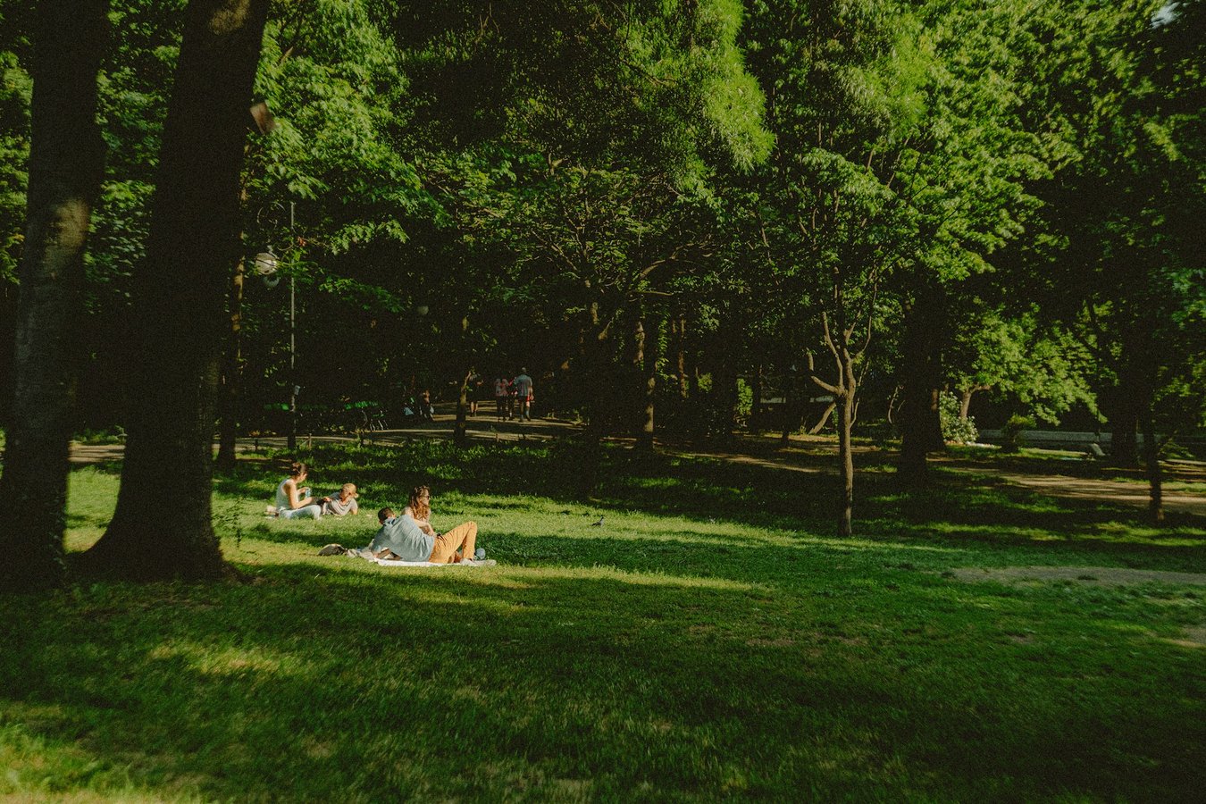 demeter-alexandru-Q0TioZ1Anxo-unsplash (1)