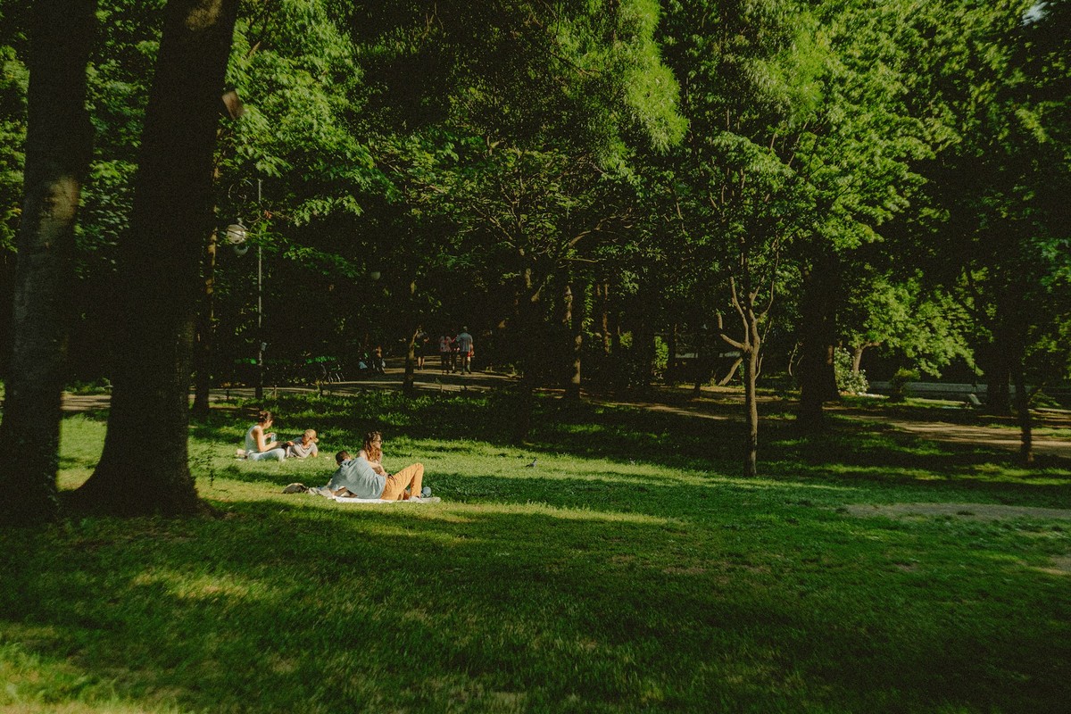 demeter-alexandru-Q0TioZ1Anxo-unsplash (1)