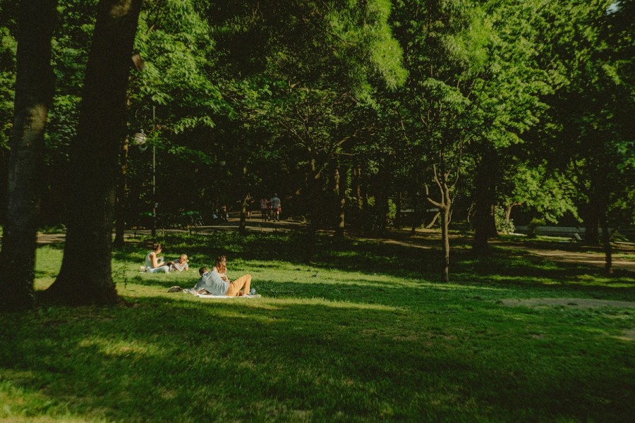 demeter-alexandru-Q0TioZ1Anxo-unsplash (1)