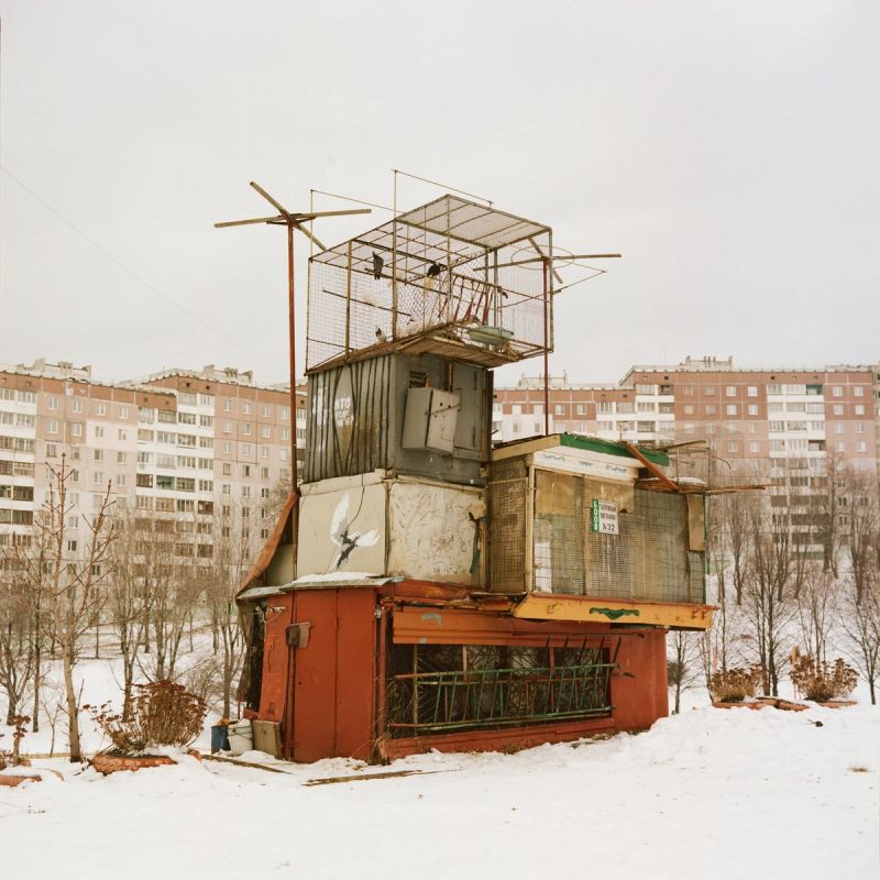 Sapranetskaya Darya_Dovecote_HonorableMention23