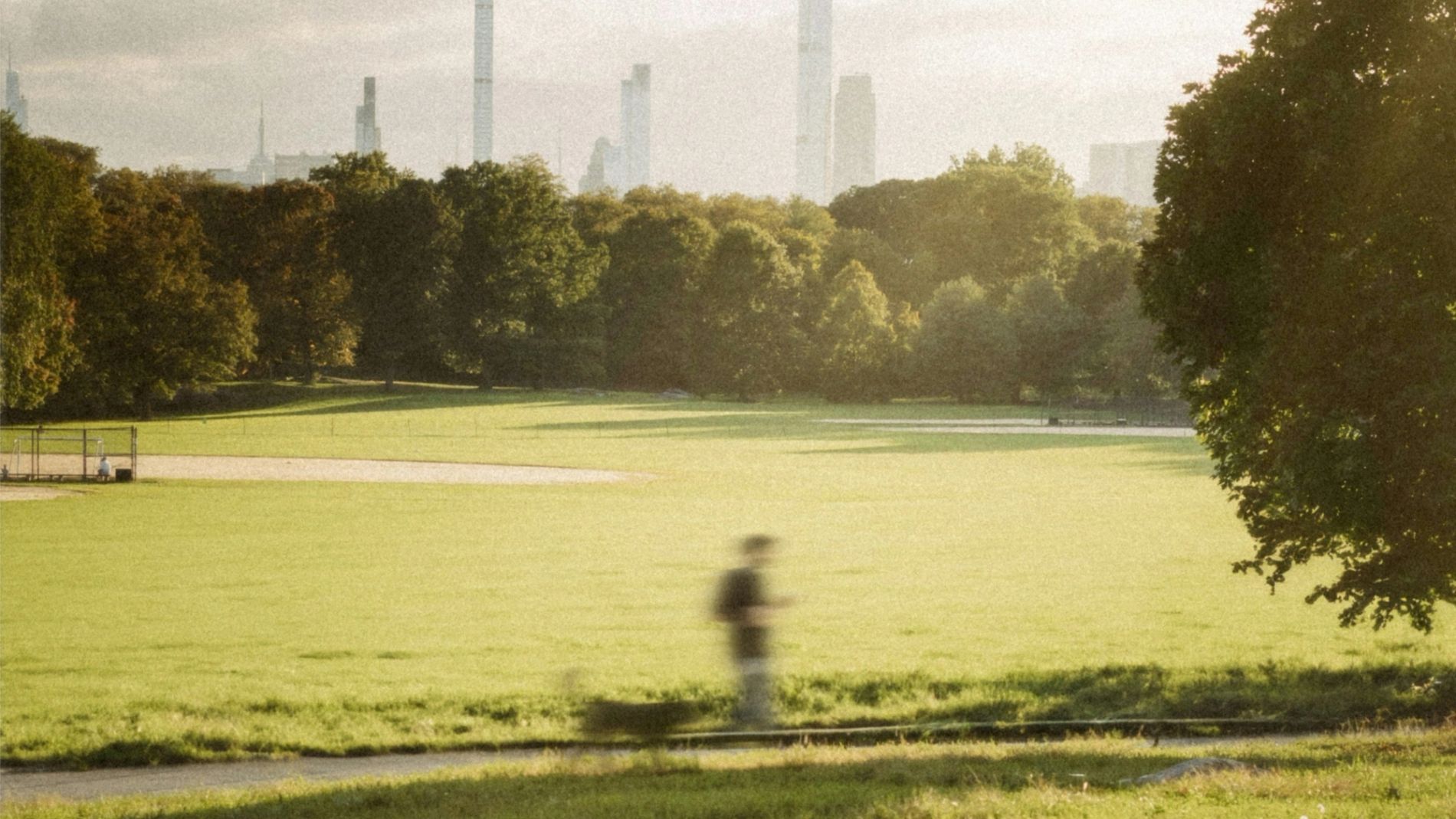 How Cities Lead the Fight Against Climate Change