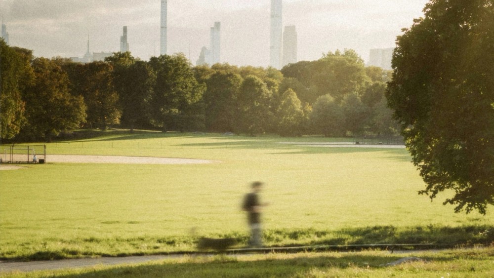 How Cities Lead the Fight Against Climate Change