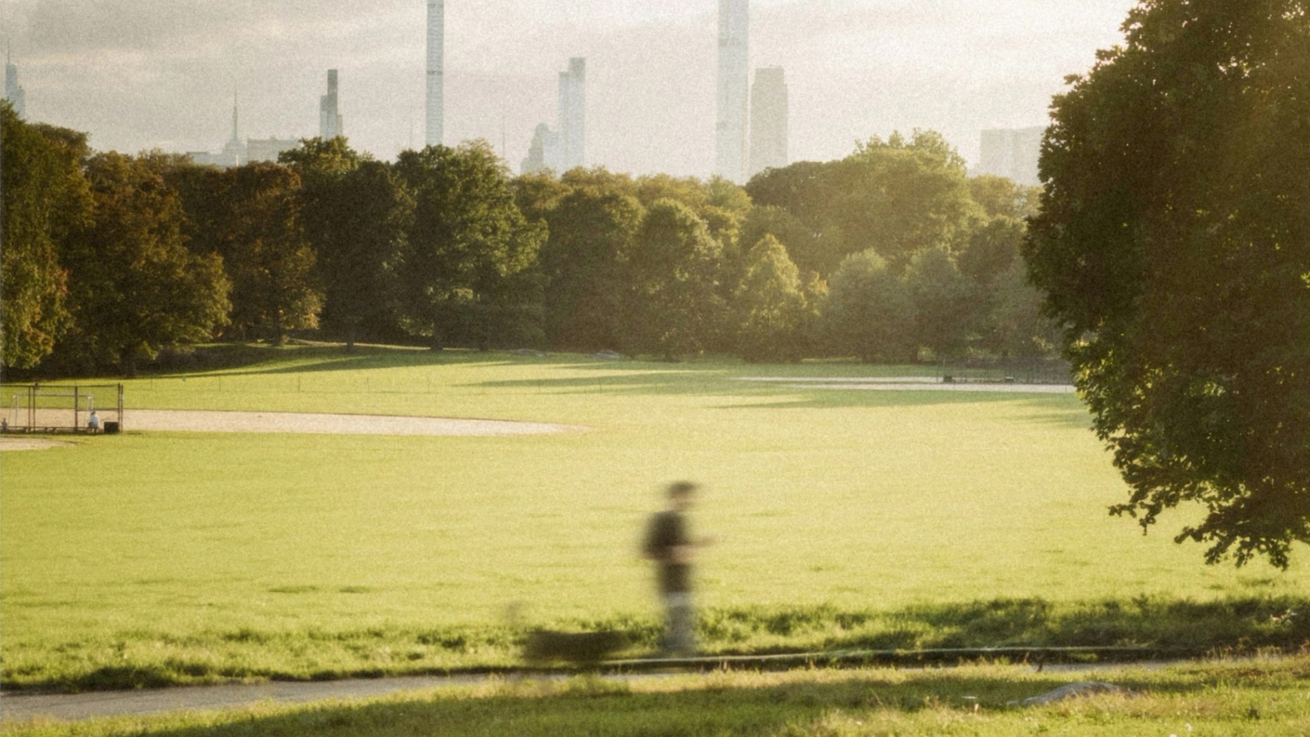 How Cities Lead the Fight Against Climate Change