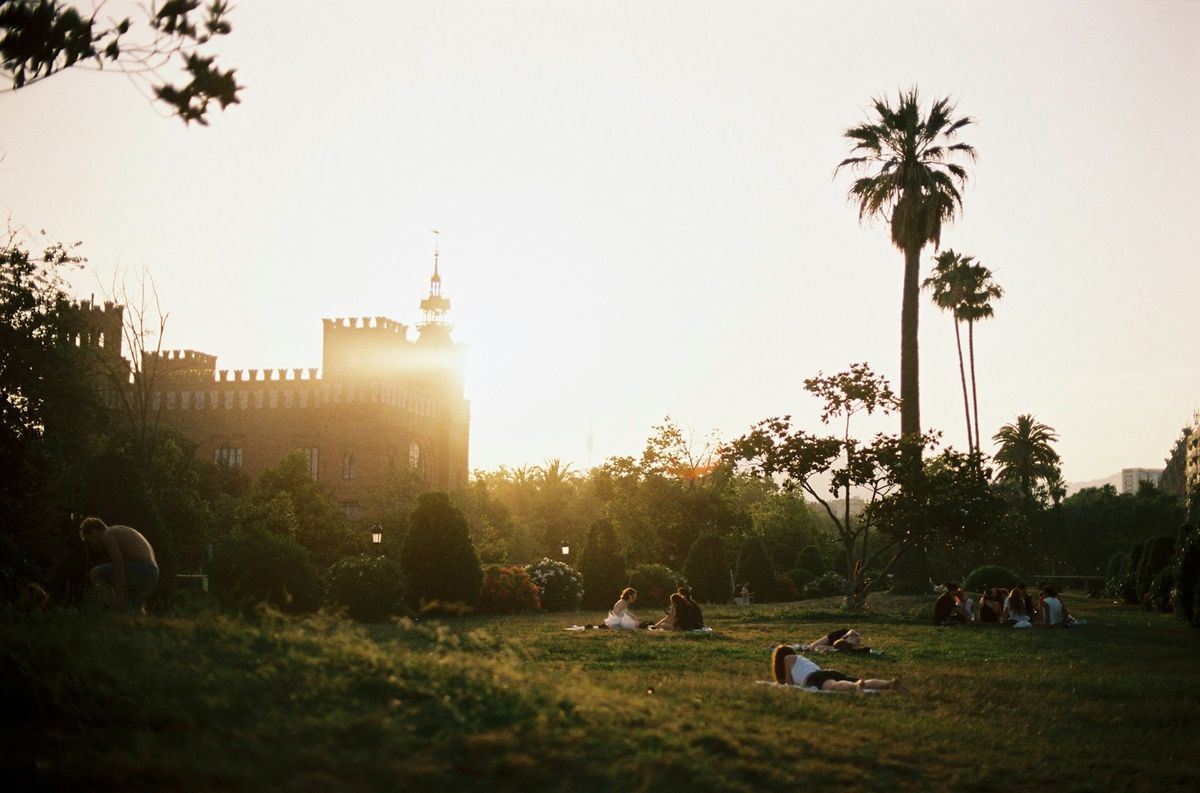 lawrence-krowdeed-W3Jy2WrRvdI-unsplash (1)