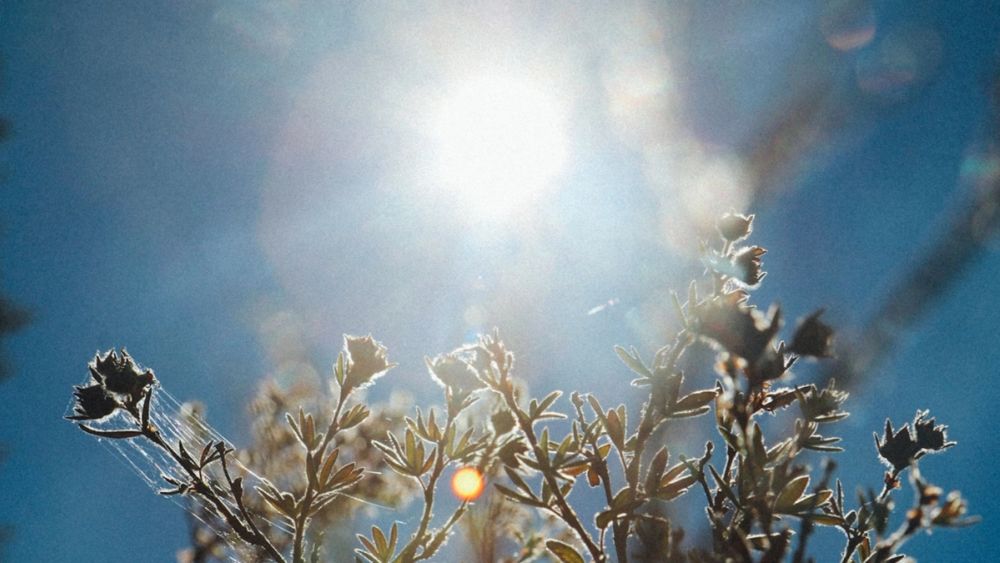 5 Things Cities Must Rethink to Survive Extreme Heat