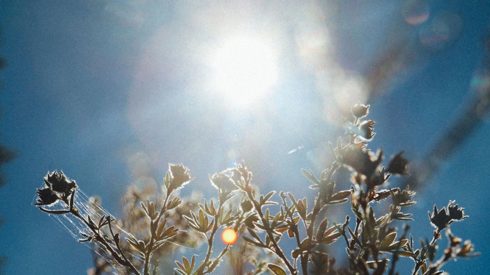 5 Things Cities Must Rethink to Survive Extreme Heat