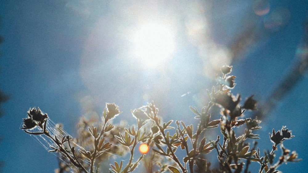 5 Things Cities Must Rethink to Survive Extreme Heat