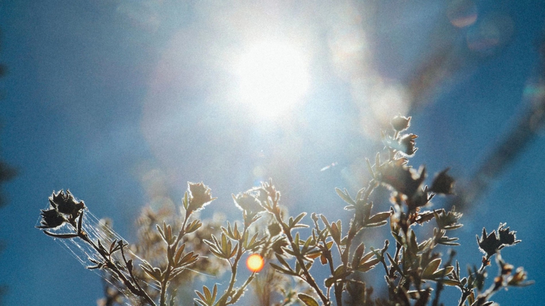 5 Things Cities Must Rethink to Survive Extreme Heat