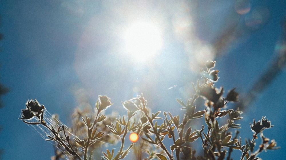 5 Things Cities Must Rethink to Survive Extreme Heat