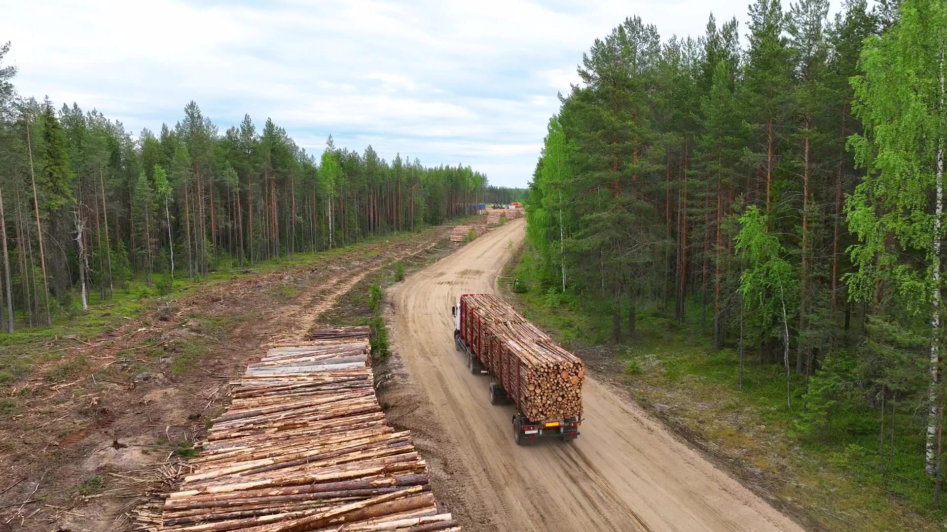 Tømmerbil på skogsvei gjennom granskog