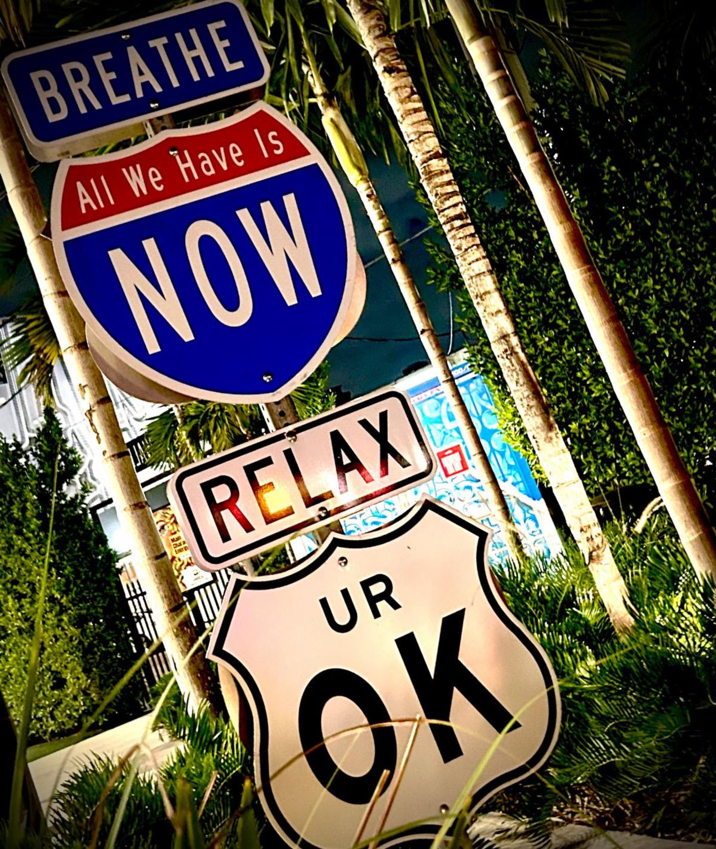 Motivational road signs at night among palms — 'Breathe,' 'All We Have Is Now,' 'Relax,' 'UR OK.'