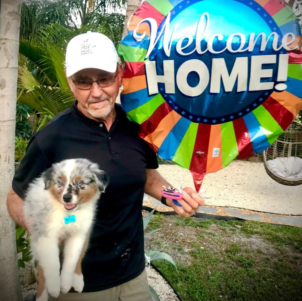 A smiling man in a Peck Fine Art cap holds Bear, the eight-week-old Blue Merle Australian Shepherd puppy, by a Welcome Home balloon