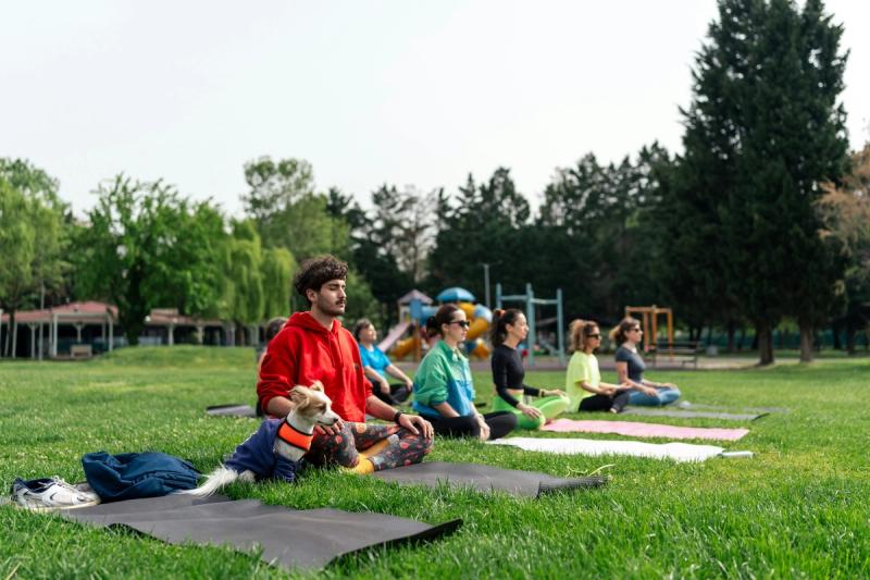 A group of people participate in an outdoor yoga class with a dog, enjoying fall activities in Nashville.