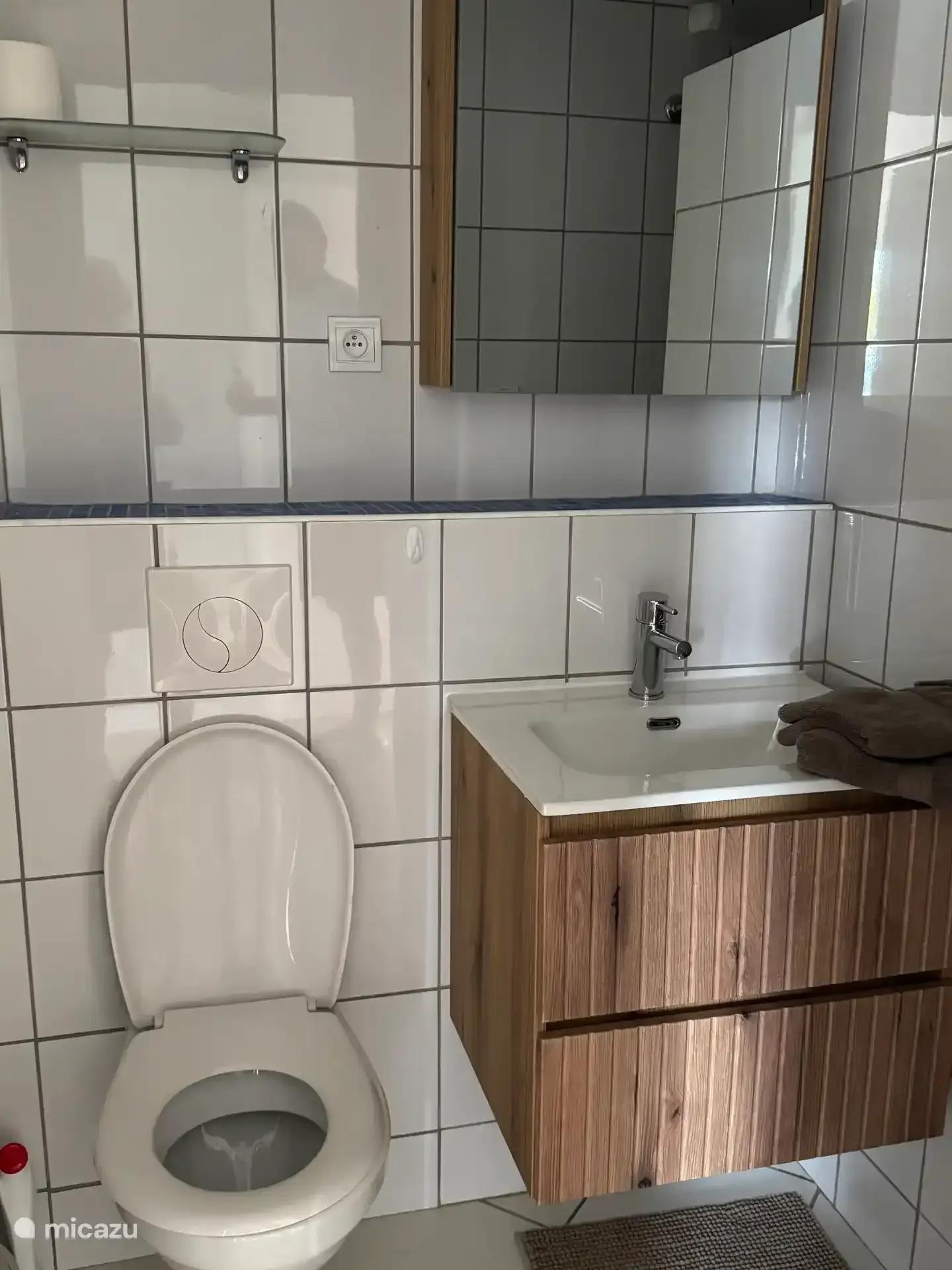 Tweede badkamer met toilet, wastafel en een houten meubel