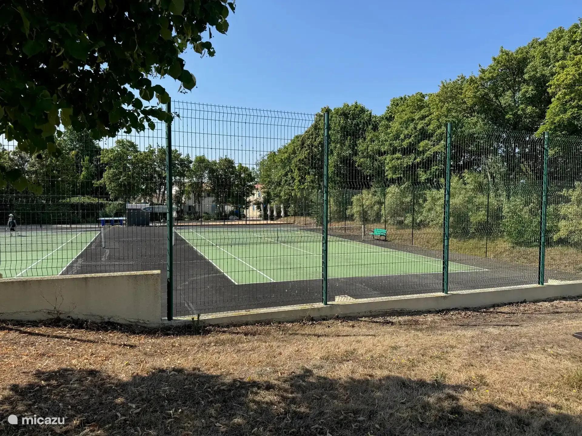 Een van de tennisbanen op het park, omheind en in het groen