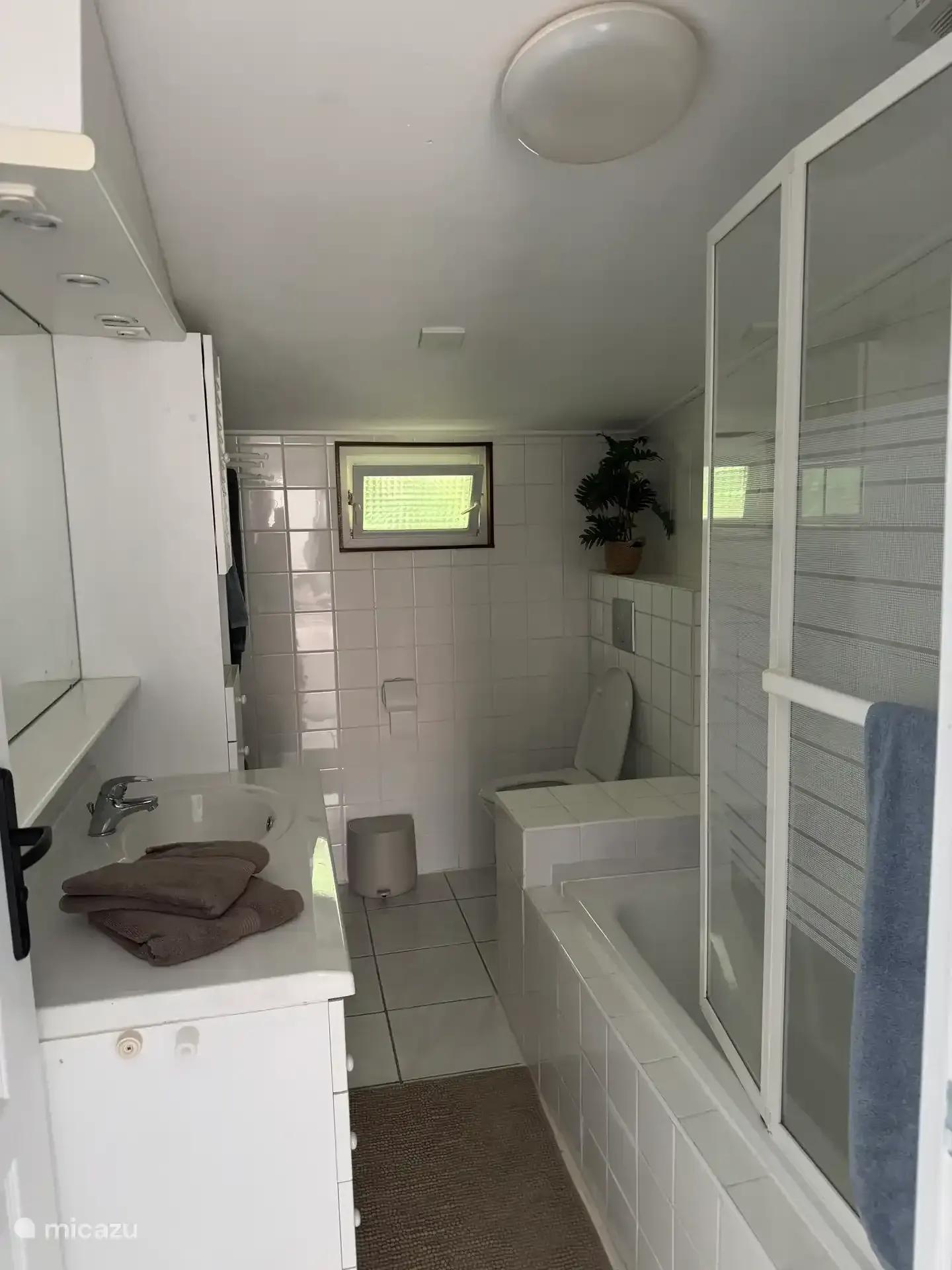 Badkamer met ligbad, douchewand en wastafel
