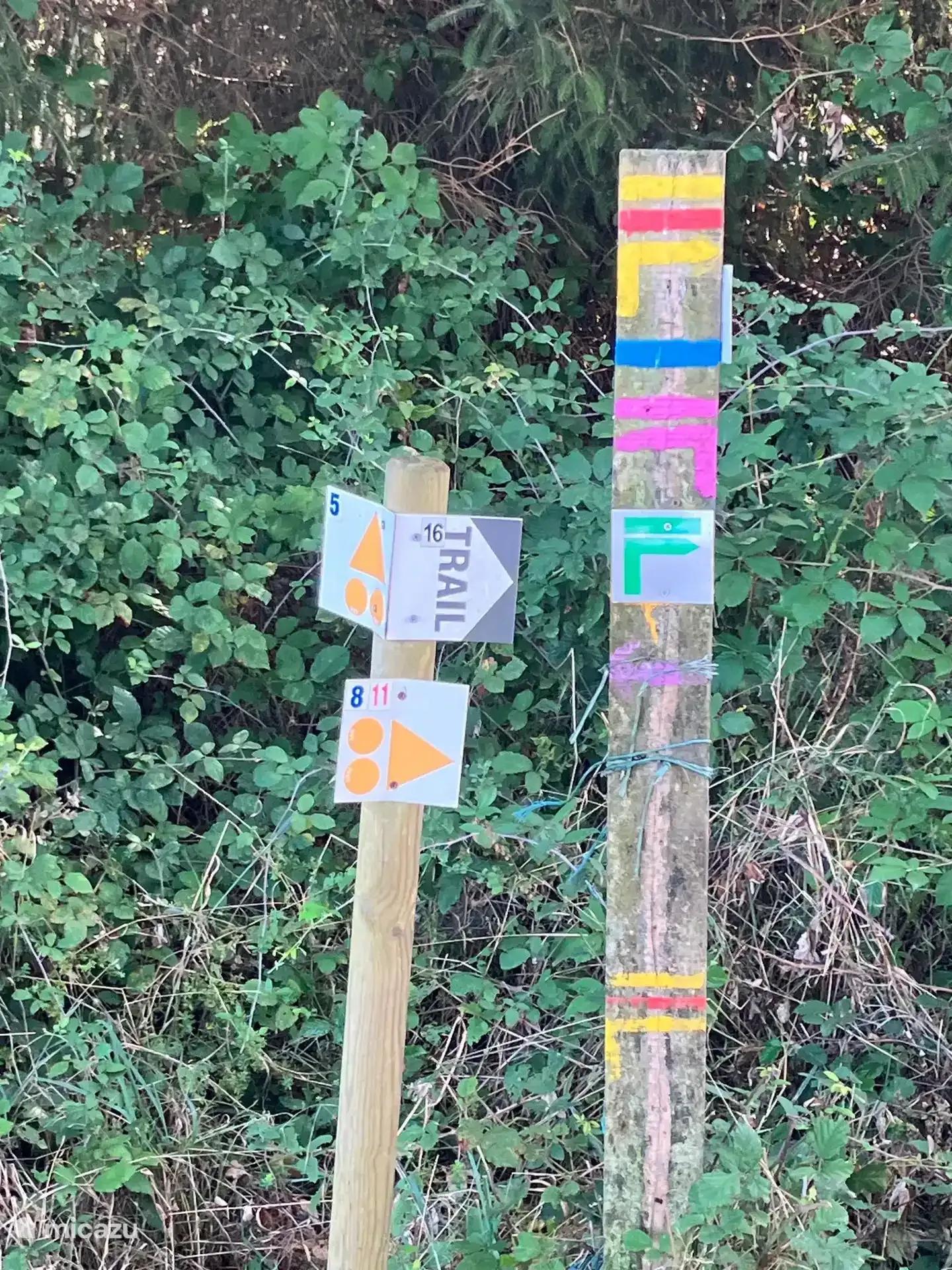 Een wandelpaal met gekleurde routemarkeringen langs een bospad