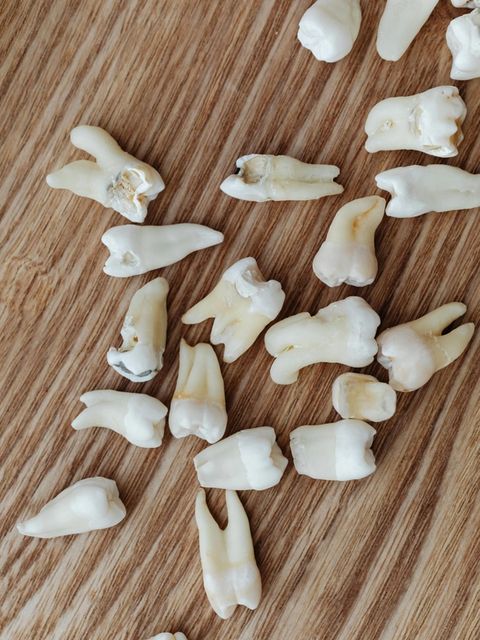 Extracted teeth of various types arranged on a wooden surface