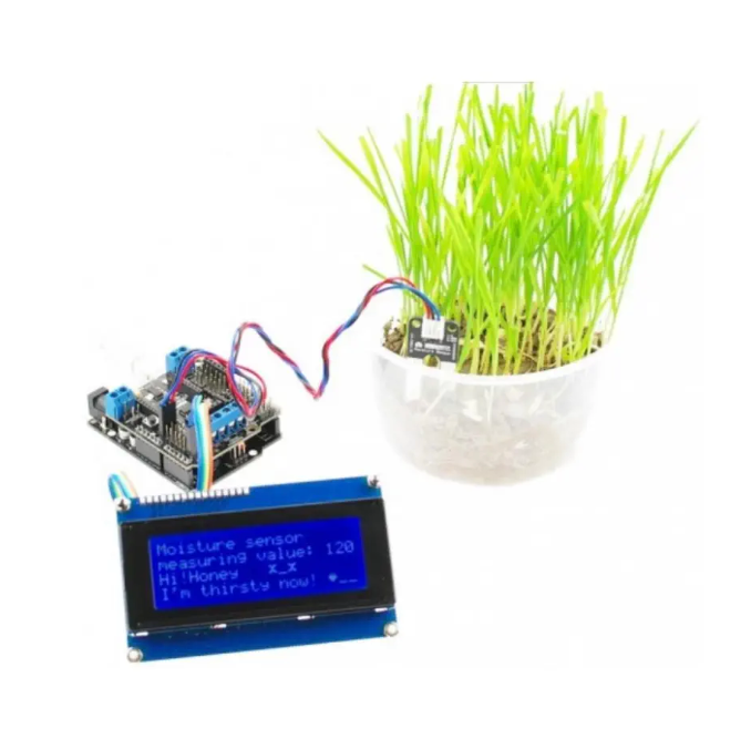 Image shows the prototype of the AM Blue Sensor and includes a plant connected to a micro:bit.