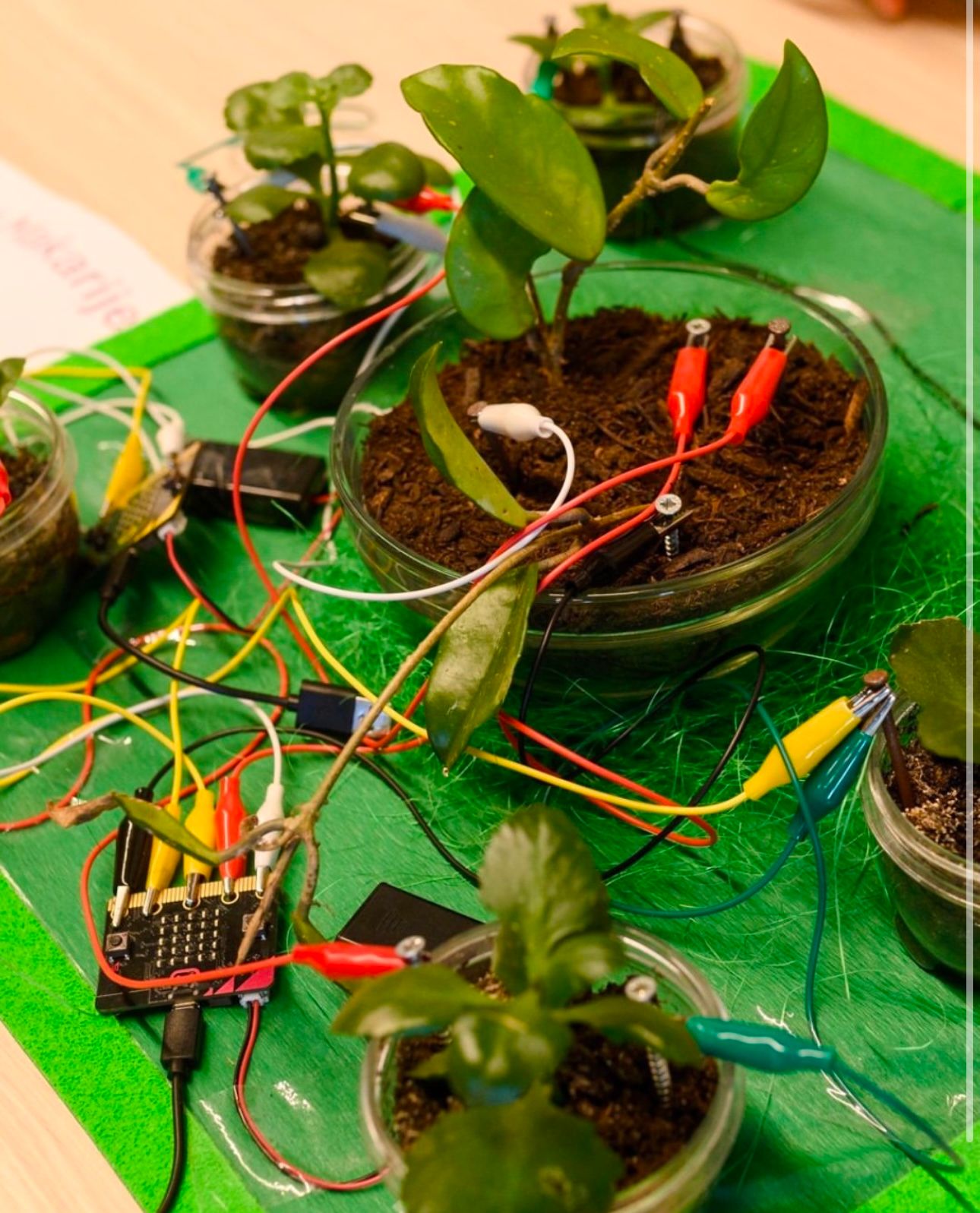 Close up photo of the protection from weather disasters prototype.