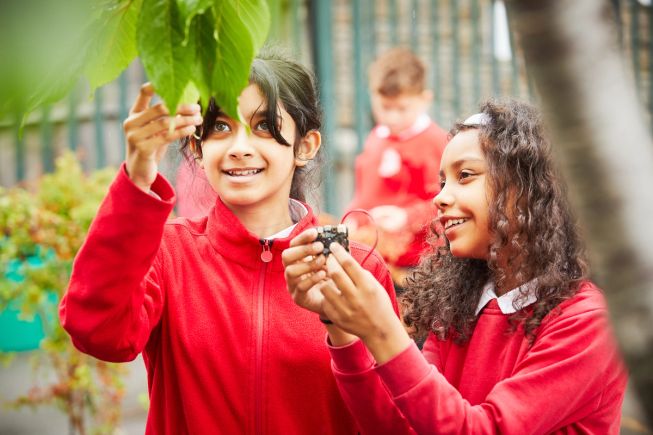 Two primary school pupils outdoors in the school playground. One is holding a micro:bit. They are looking closely at plants and one girl is touching a leaf.