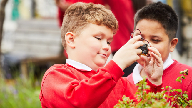 Two boys of primary age outside looking at leaves from a plant while holding a micro:bit up.