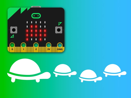 turtle image the micro:bit LED display