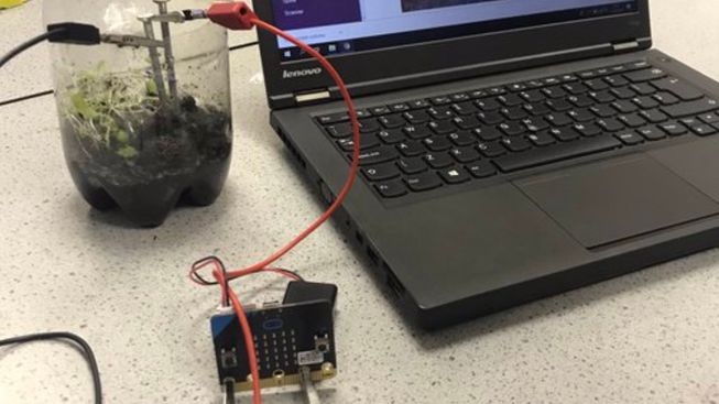 Measuring the moisture of a plant by connecting it to a micro:bit