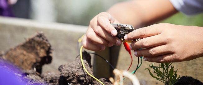 photo of a child using a micro:bit to measure soil moisture