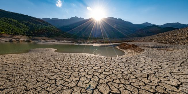 Desertification