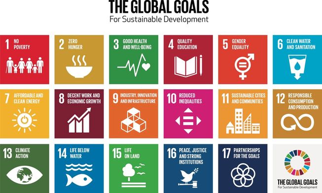 Introducing the Global Goals | micro:bit