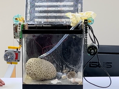 Photograph of the Smart Aquaculture prototype.