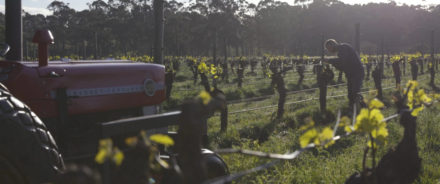 VOYAGER ESTATE - 40 YEARS