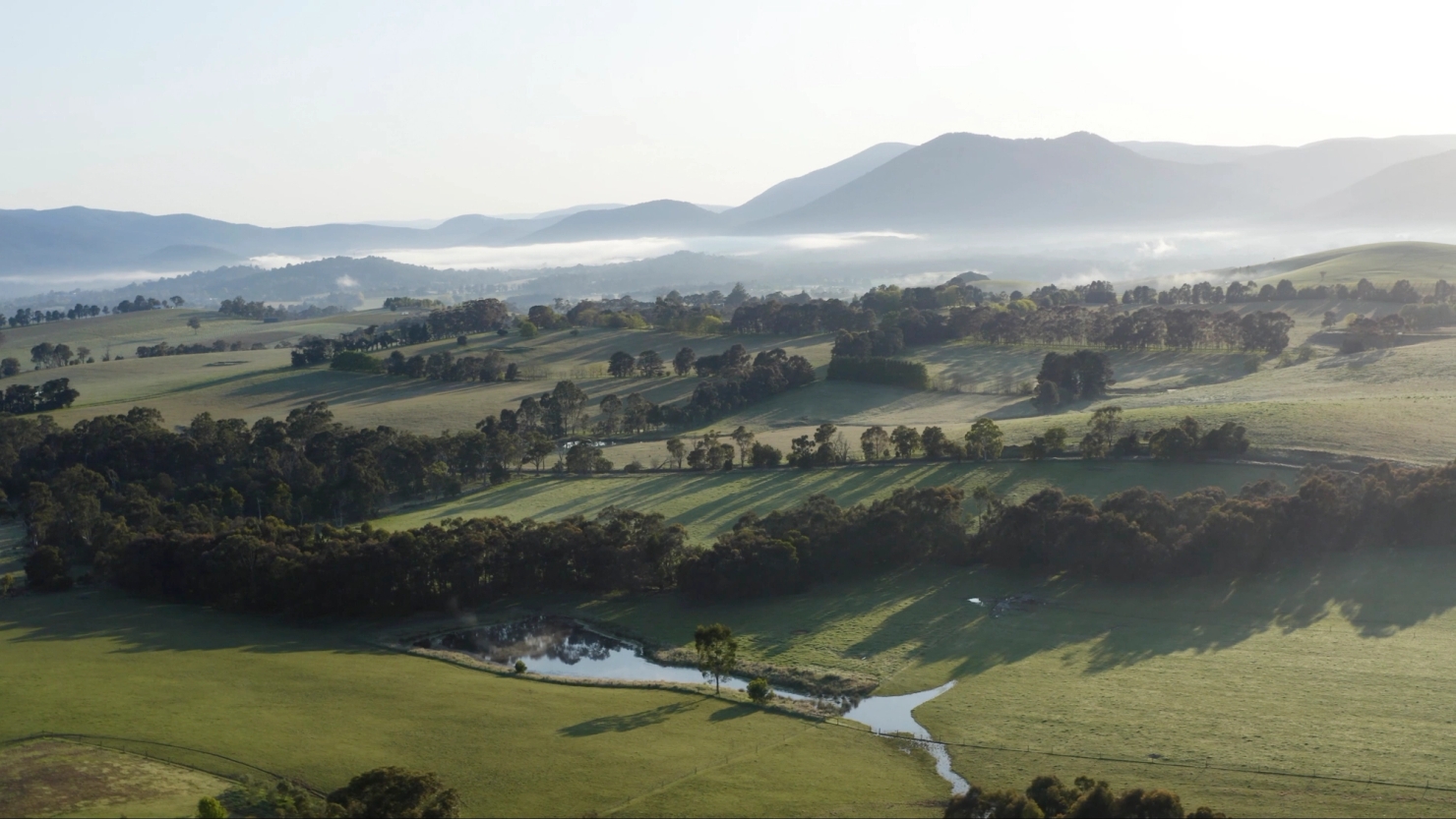 Four Pillars sustainability 